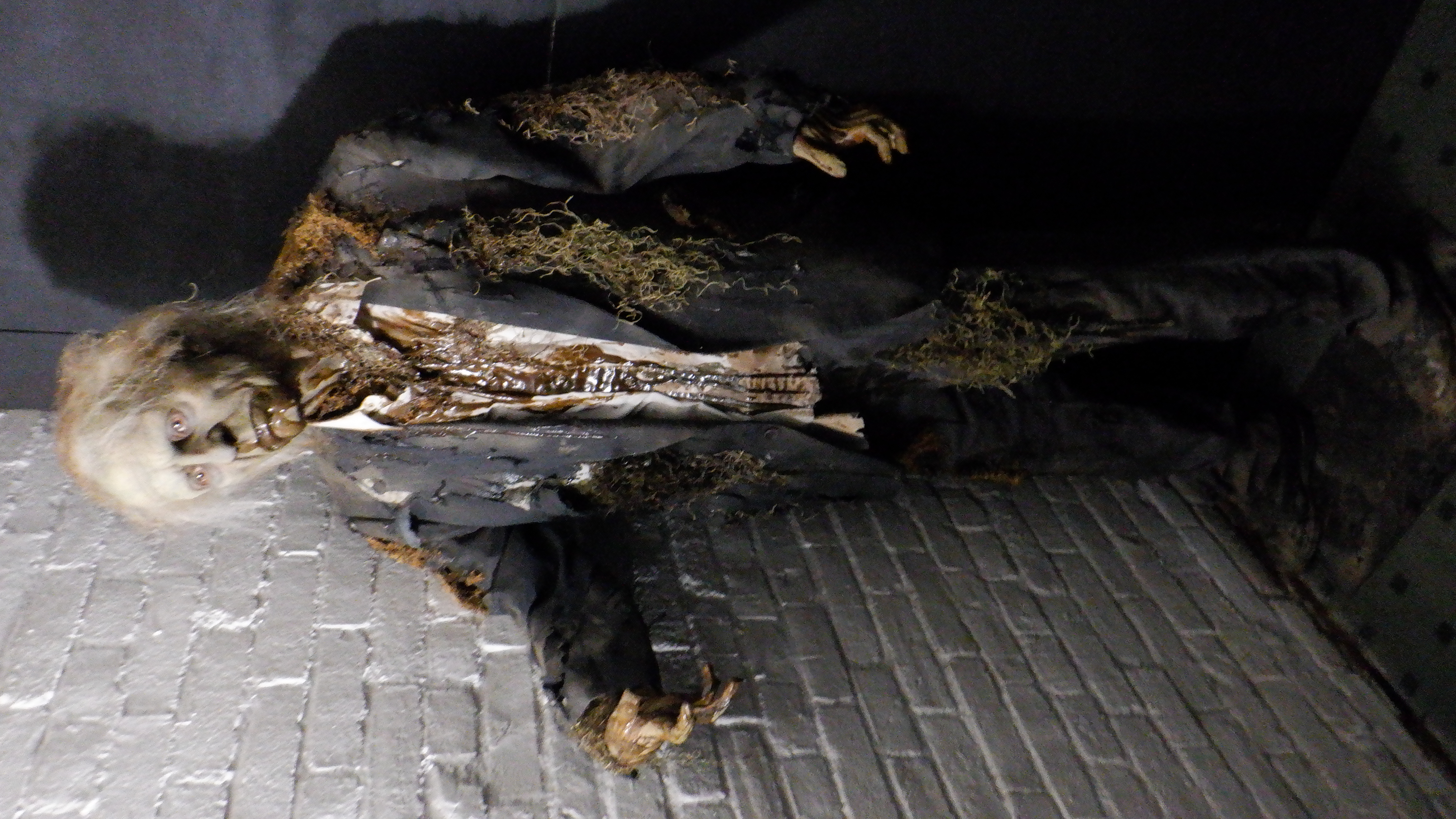 ./2022/06 - St Louis/06 - Day 6/20220526-16263672.JPG